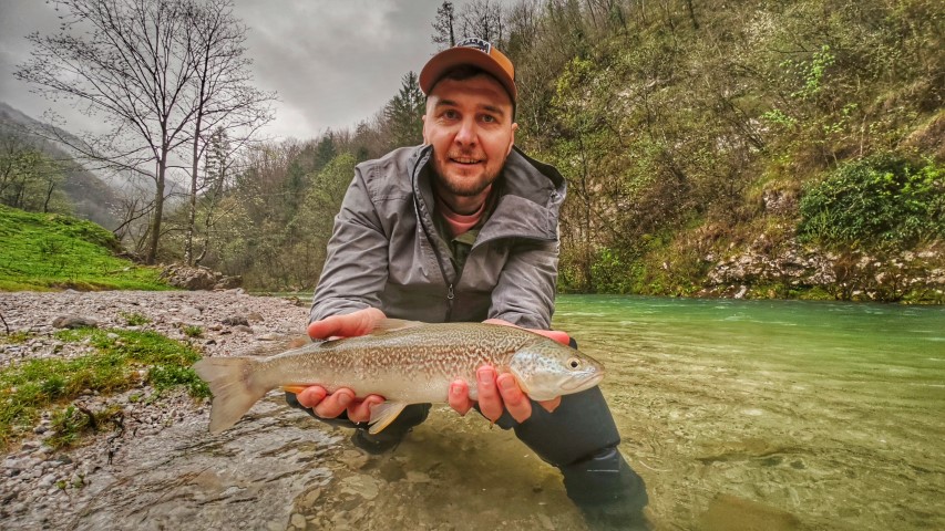 marble trout April.